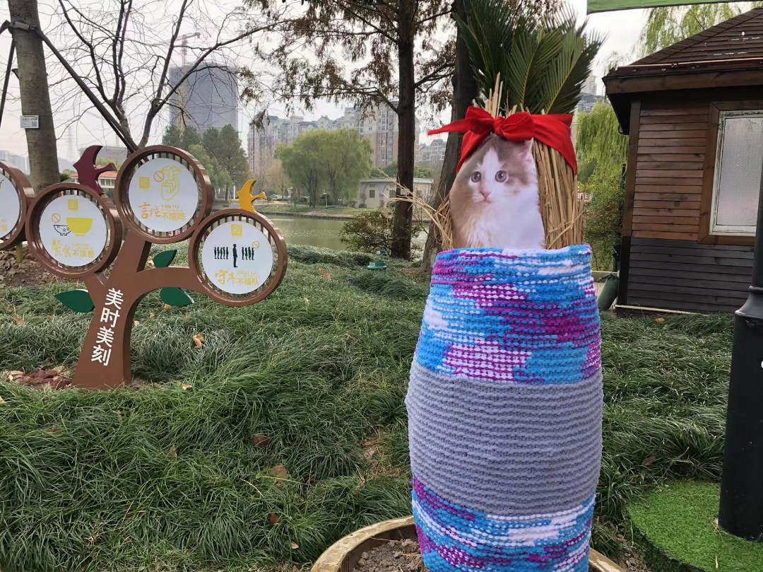 树木穿上萌萌新毛衣~这些衣服可不只好看这么简单