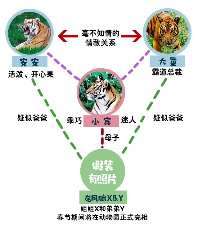 除了非常人间真实的虎际关系