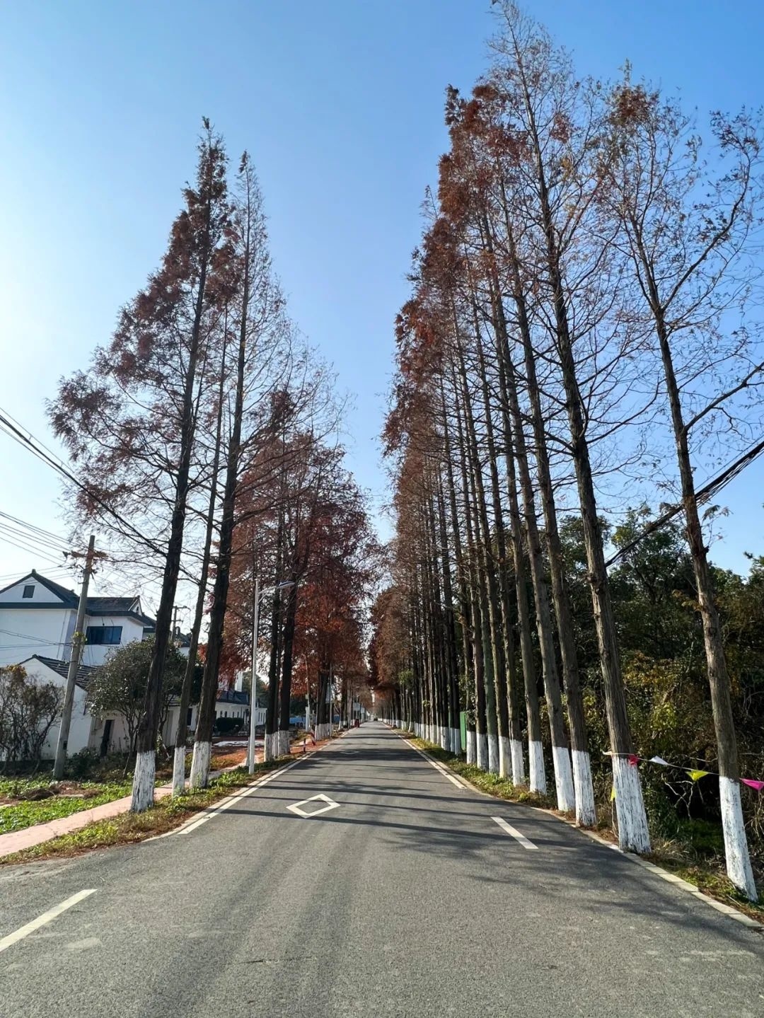 来金山张堰百家村开启你的冬日游玩之旅吧