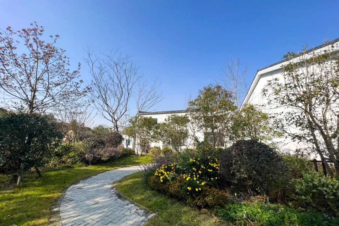 来金山张堰百家村开启你的冬日游玩之旅吧