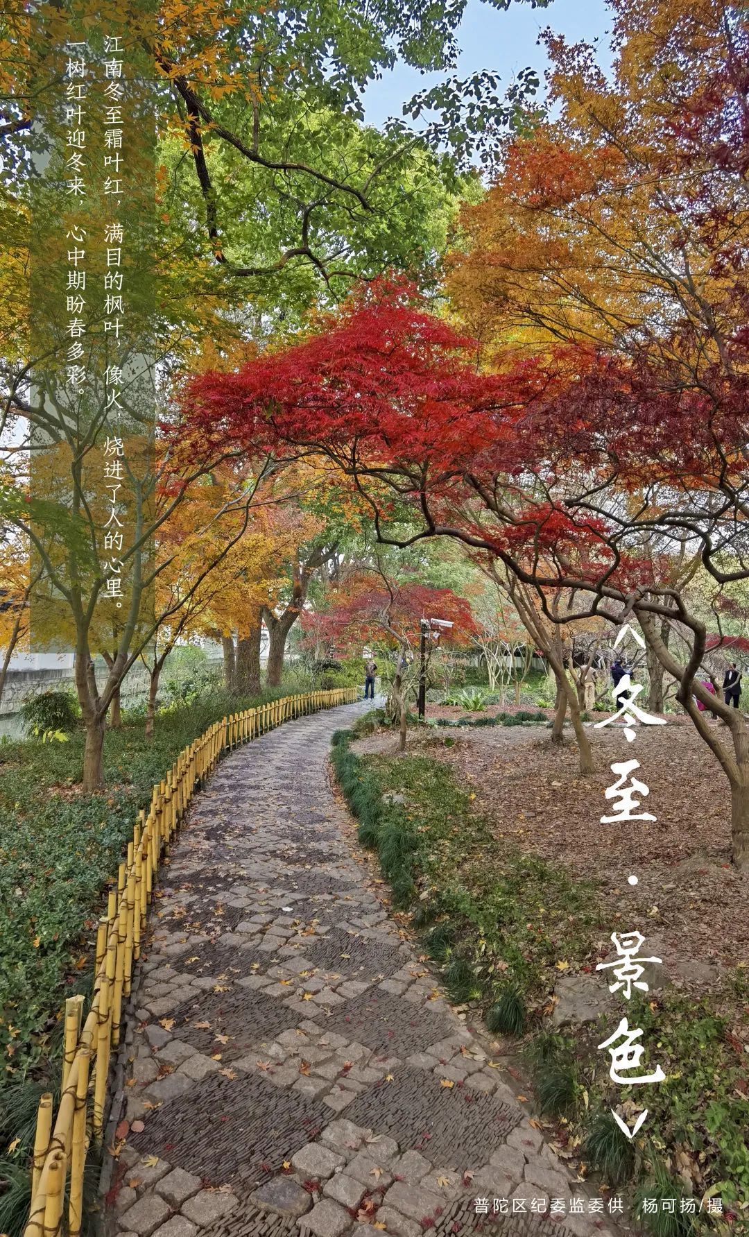 来跟随纪检监察人的镜头一起探寻冬至时节的沪上美景