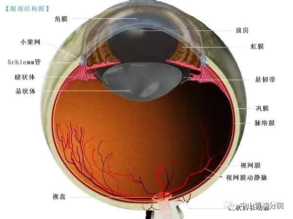 眼睛出血究竟可不可怕