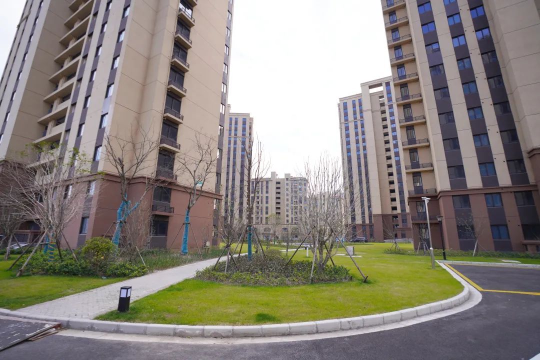奉贤这个动迁安置房项目竣工啦