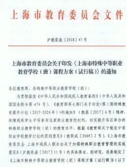 特殊教育学校工作总结_上海特殊教育融合发展_上海市特殊教育三年行动计划