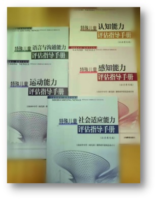 特殊教育学校工作总结_上海特殊教育融合发展_上海市特殊教育三年行动计划