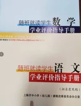上海特殊教育融合发展_特殊教育学校工作总结_上海市特殊教育三年行动计划