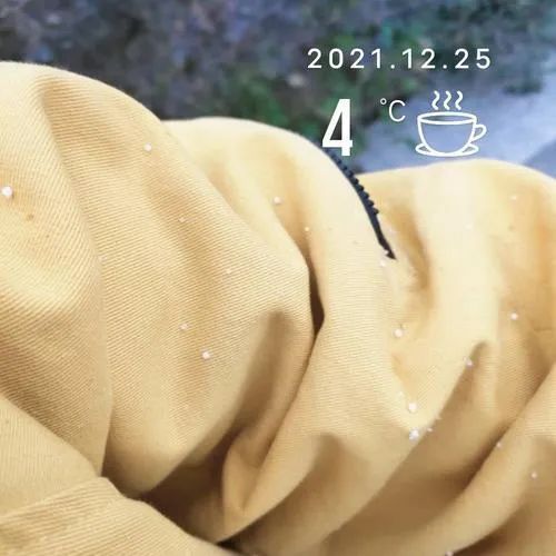 上海下雪啦 你看到没 明起三天最低都在0 以下 郊区 6 上观新闻
