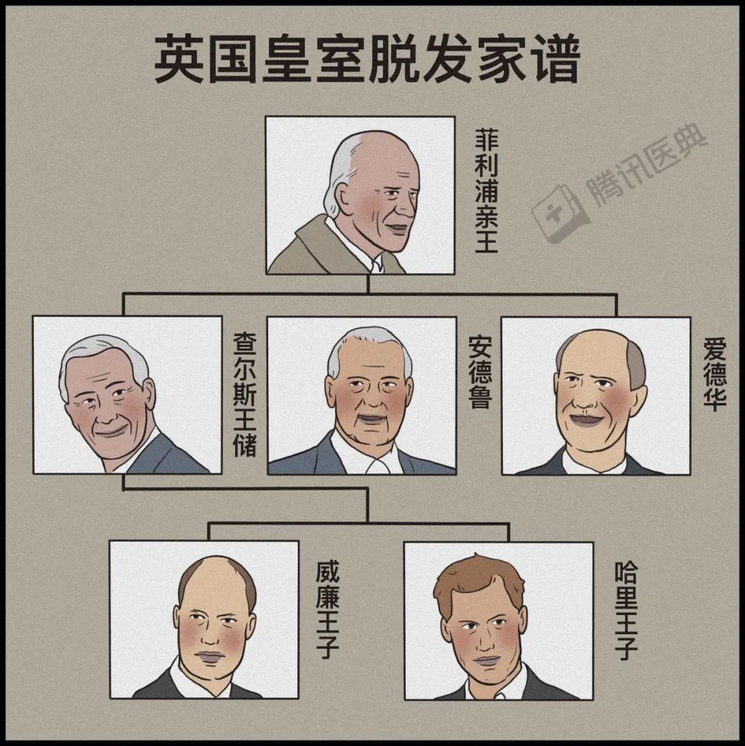 激光疗法有什么作用一篇帮人类打败脱发的文章（转给身边的他和她）_https://www.jmylbn.com_新闻资讯_第16张