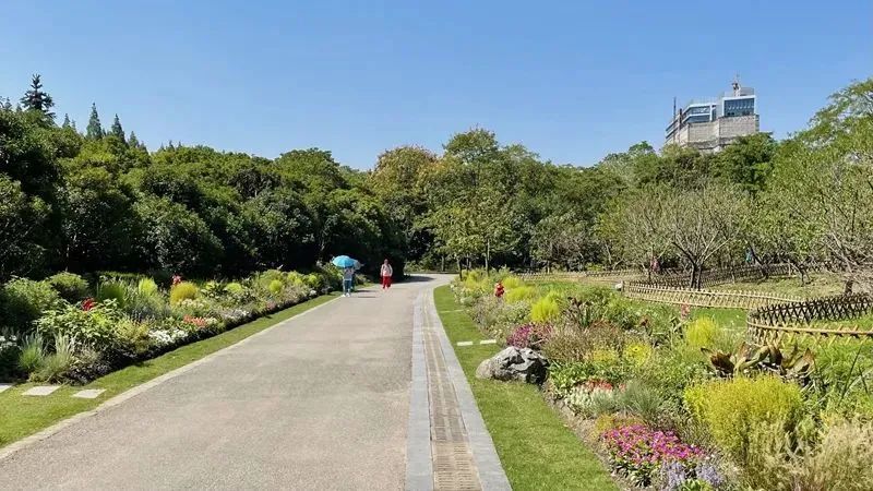 明年1月1日起上海植物園免大門票