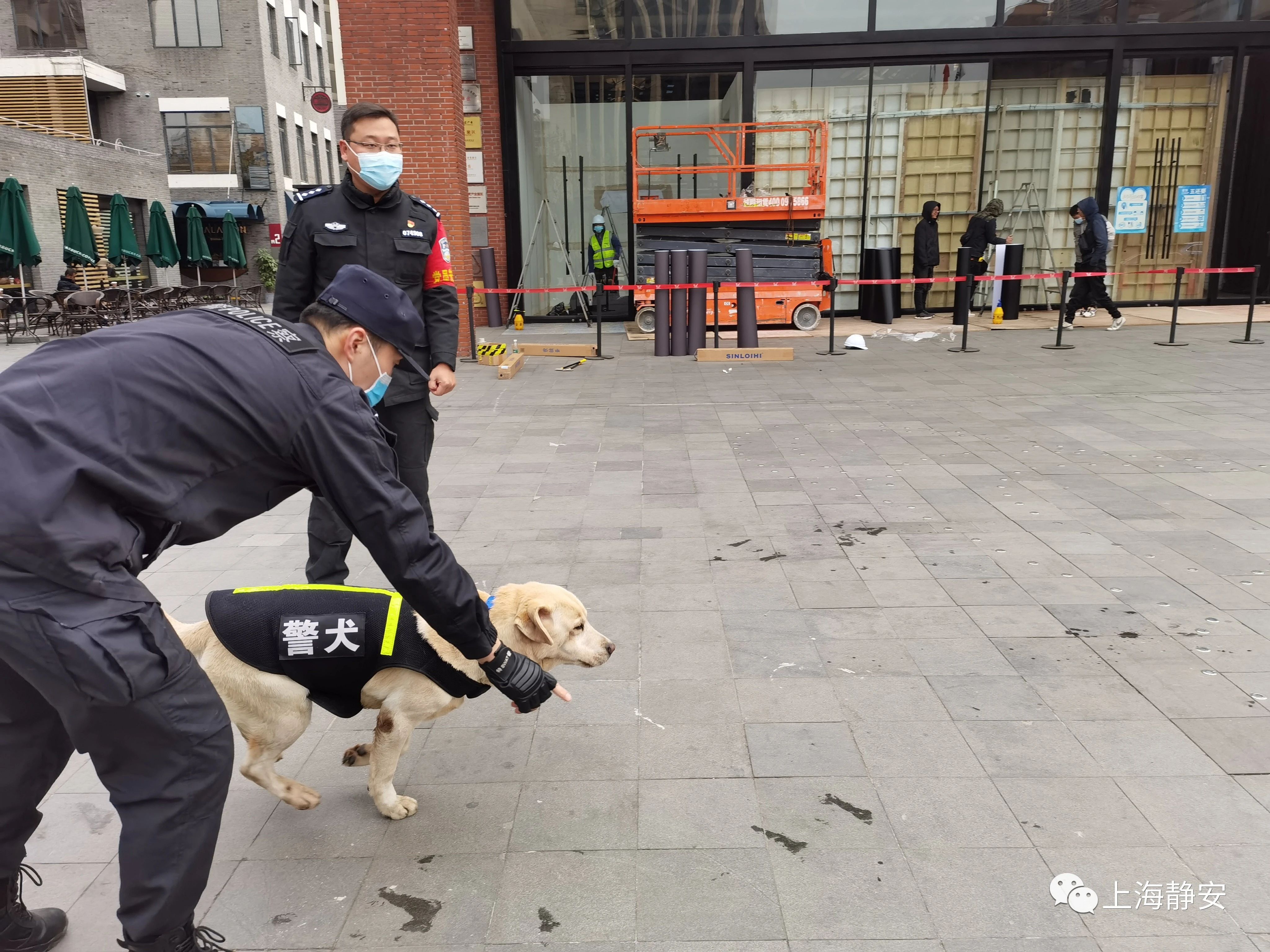 马晓亮,与新搭档——来自市公安局轨交总队k9警犬队的警犬妮卡和湍後