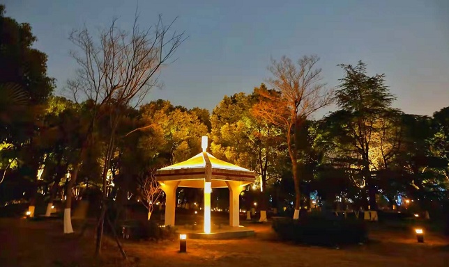 亮了靚了泗涇公園新年添新景