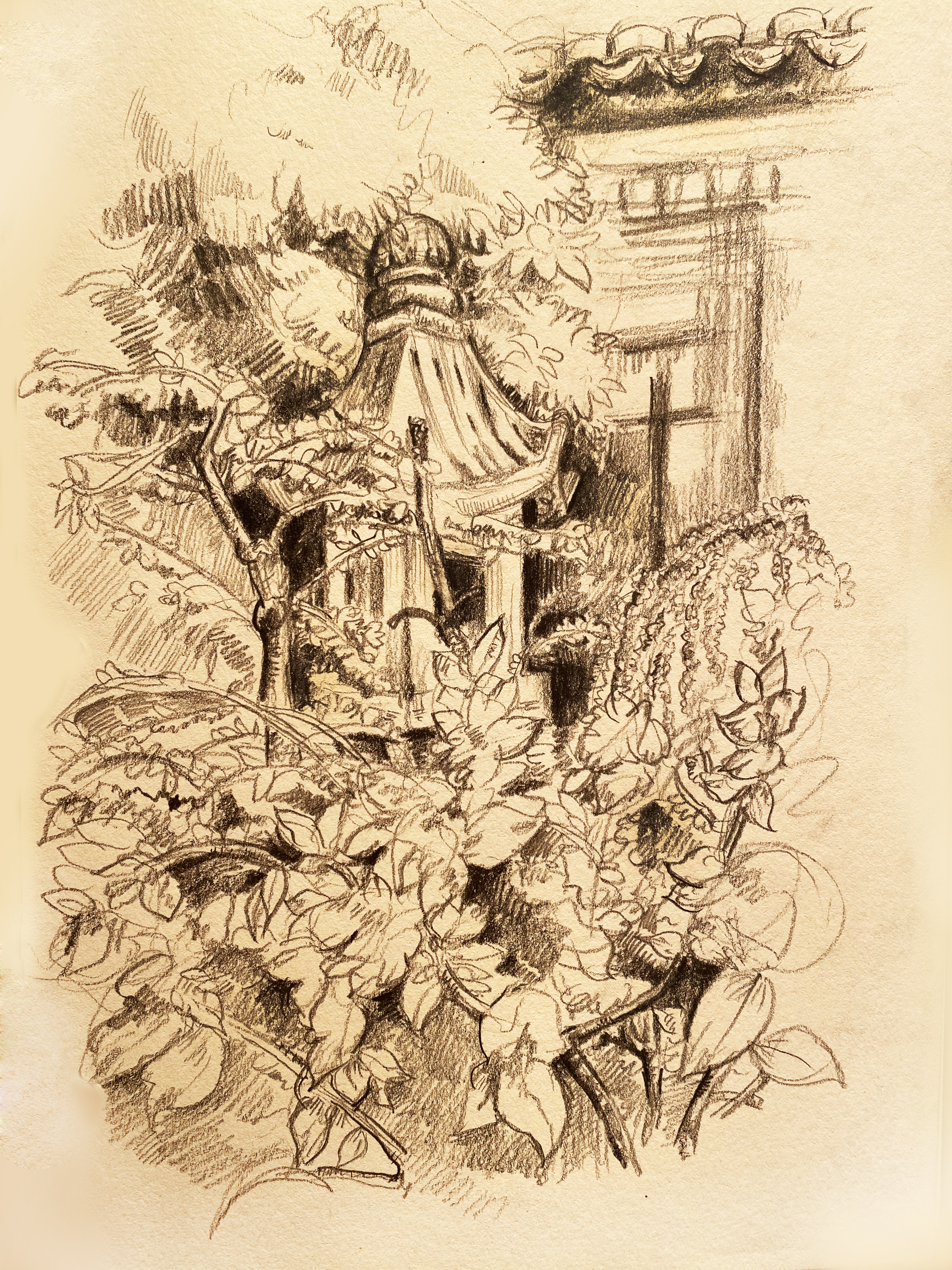 边拍边画丨都市里的"空中花园"