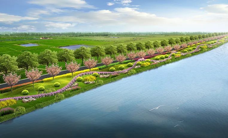 奉贤区南门港及团结塘河河道整治工程顺利通过完工验收