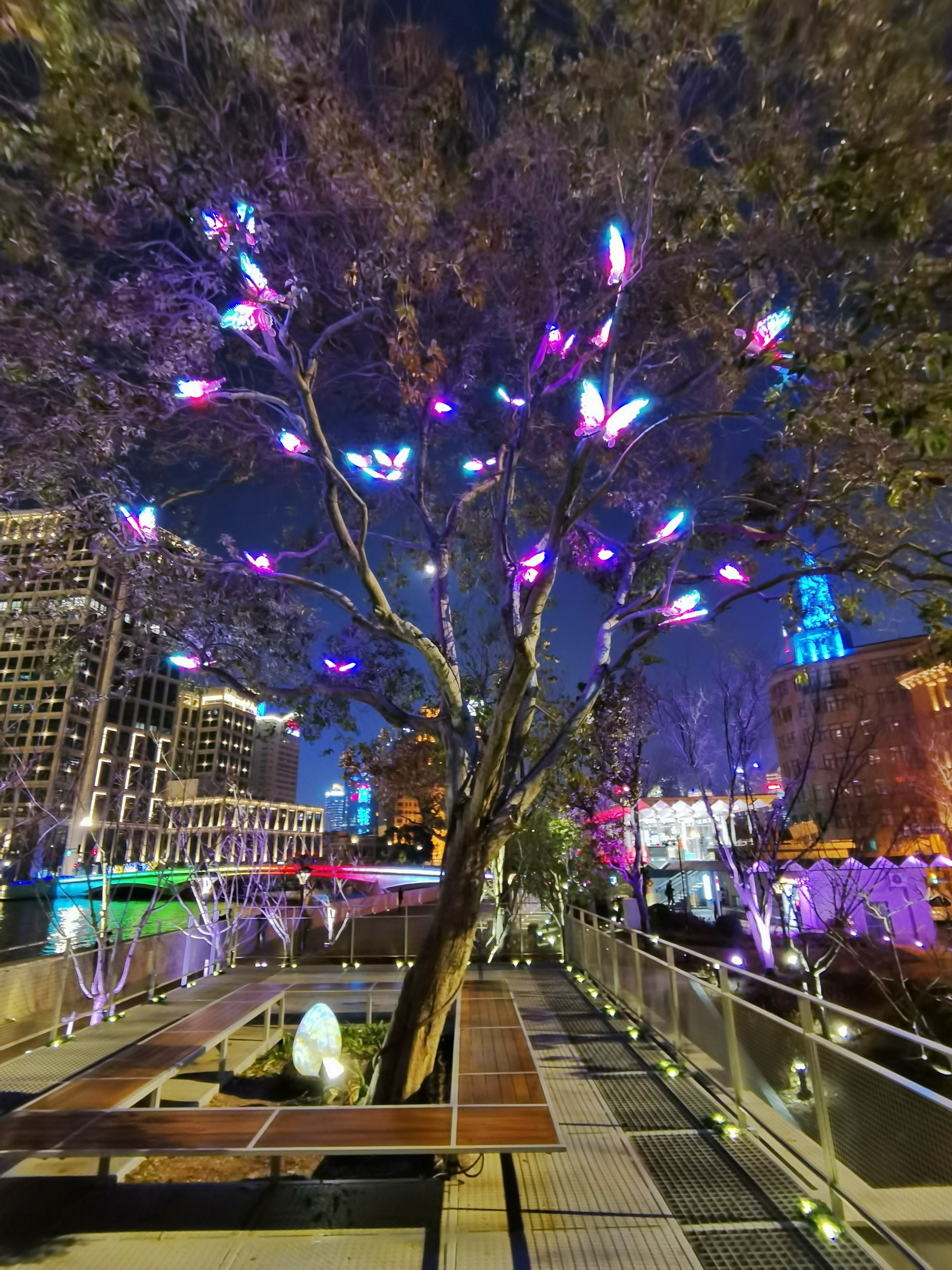 步步惊艳苏州河黄浦段夜景灯光为何如此有看头