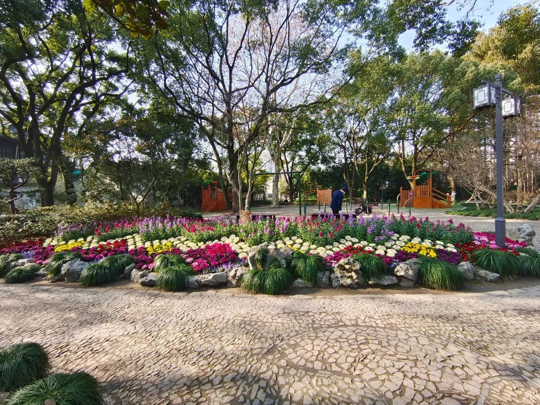古猗园打造冬日花境 喜迎新春 上观新闻