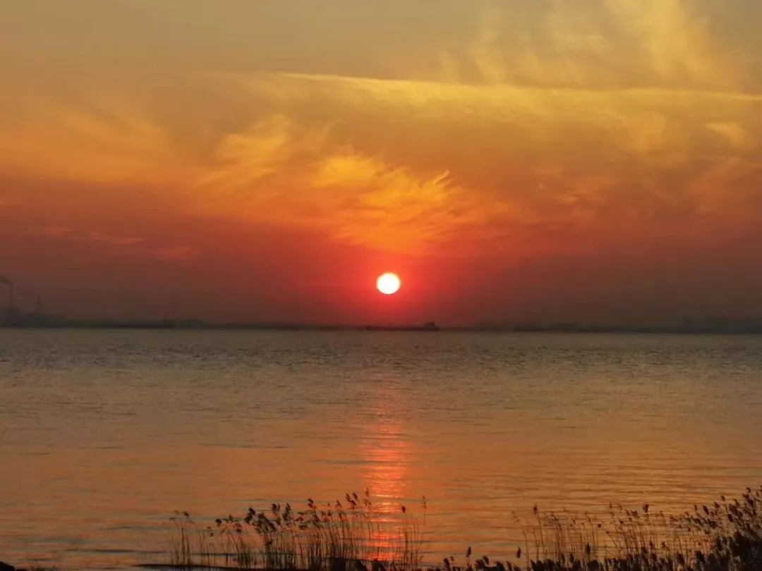 海塘夕阳余晖美不胜收