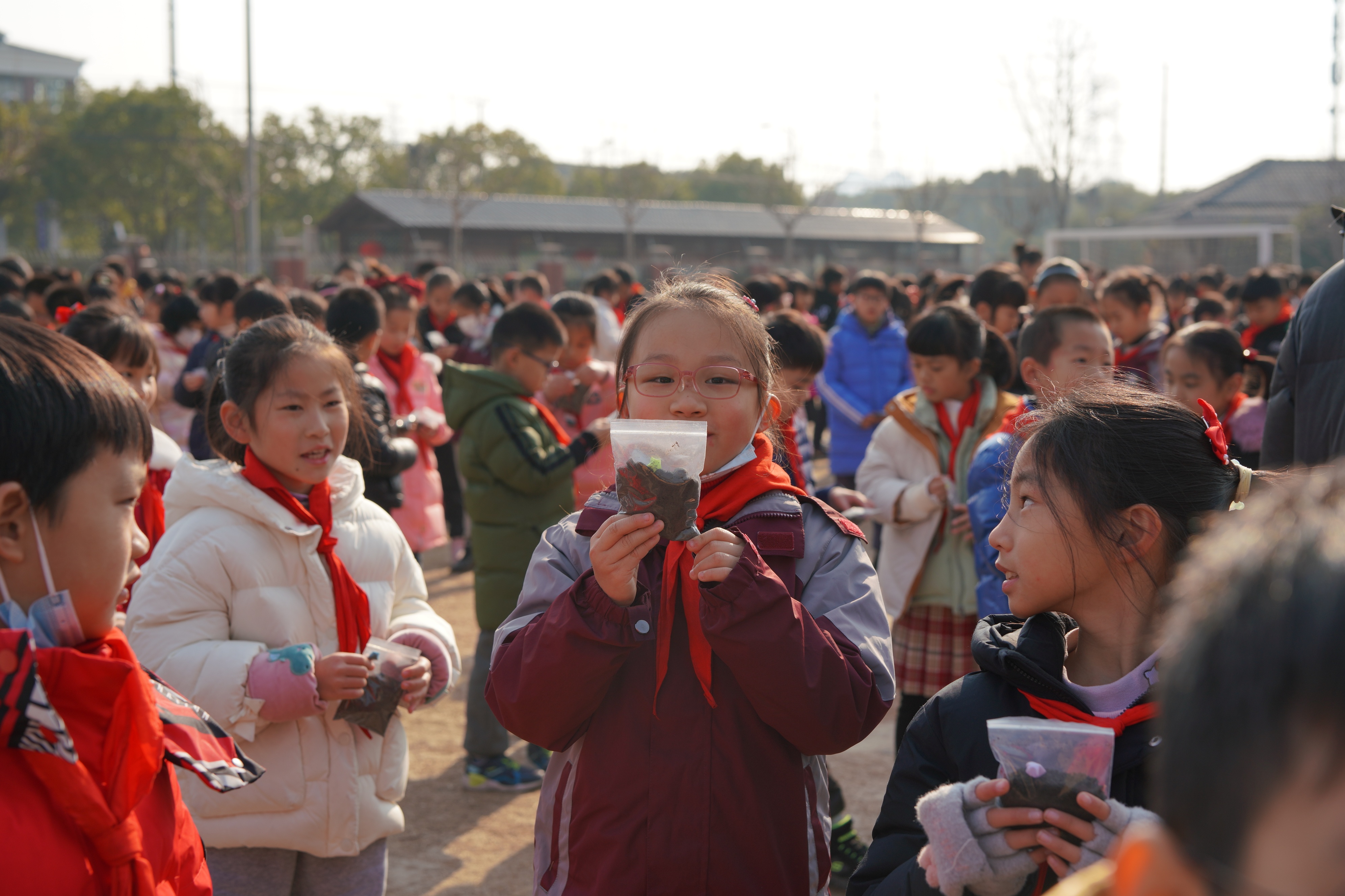 种植白菜萝卜波斯菊九亭五小的学生们寒假忙农活