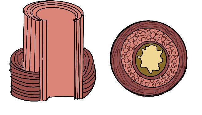 压力治疗是什么浦东医生话养生 ｜ 什么是压力性尿失禁？怎么预防和治疗？医生科普来啦！_https://www.jmylbn.com_新闻资讯_第6张