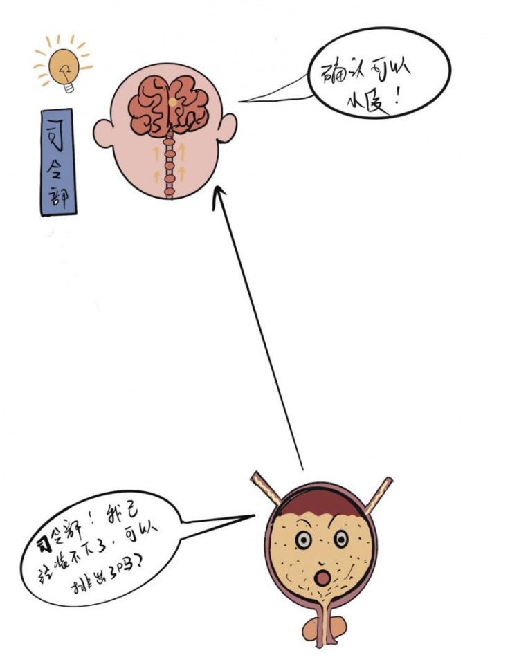 压力治疗是什么浦东医生话养生 ｜ 什么是压力性尿失禁？怎么预防和治疗？医生科普来啦！_https://www.jmylbn.com_新闻资讯_第4张