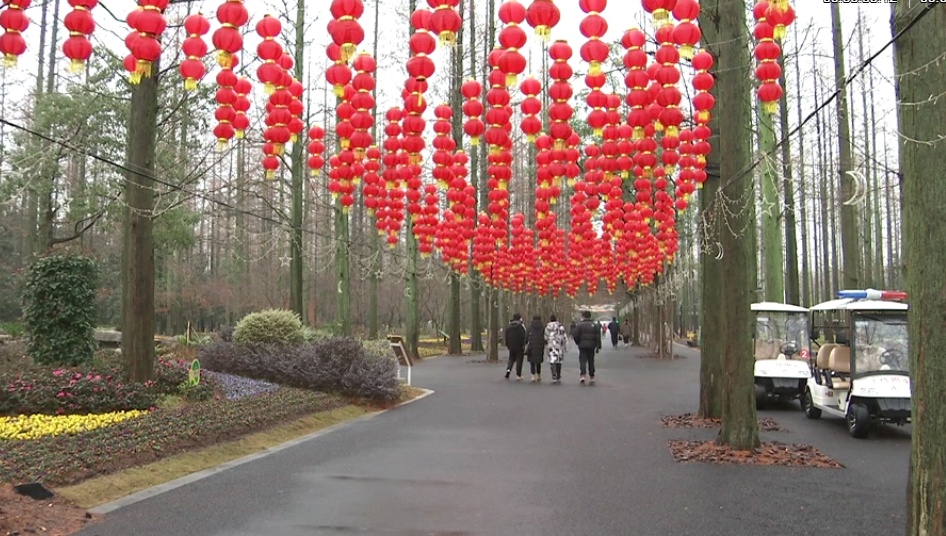 来到东平国家森林公园,门口"新春快乐"的背景板十分醒目,广场上的各色