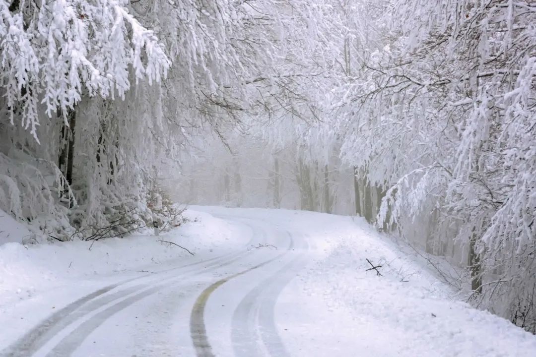 天寒地冻冰天雪地图片