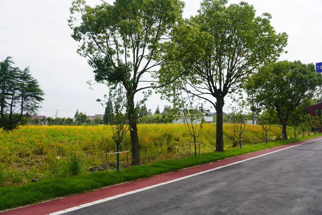 黄白黑之变开启美颜滤镜的乡间道路你爱了吗