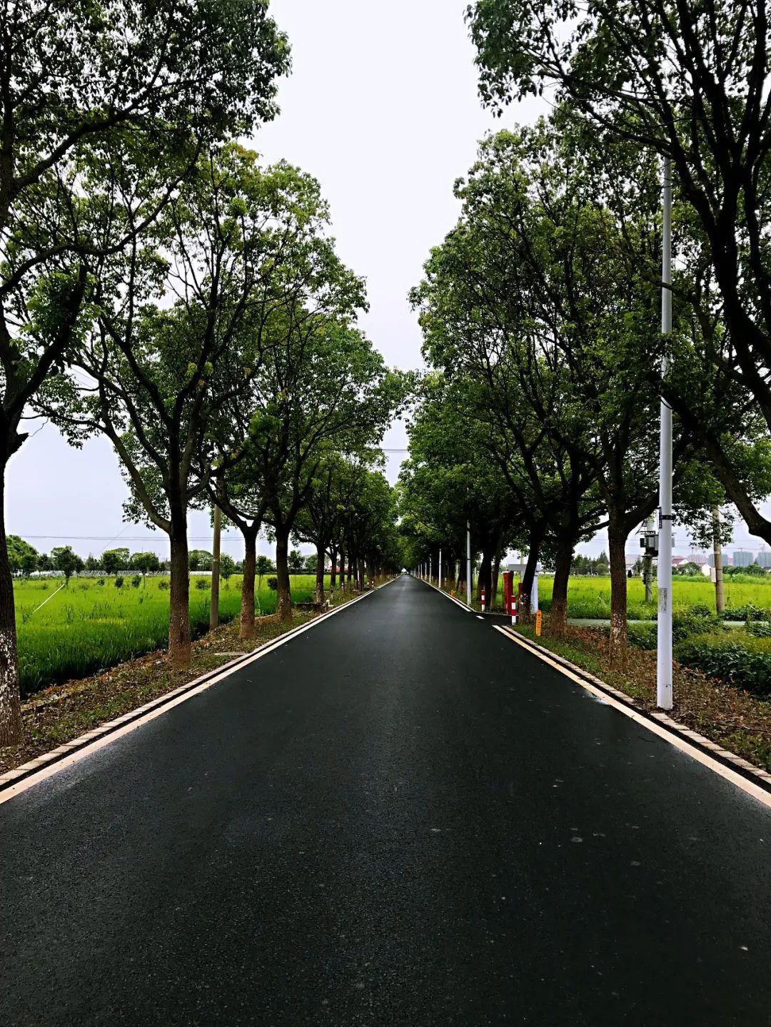 黄白黑之变开启美颜滤镜的乡间道路你爱了吗