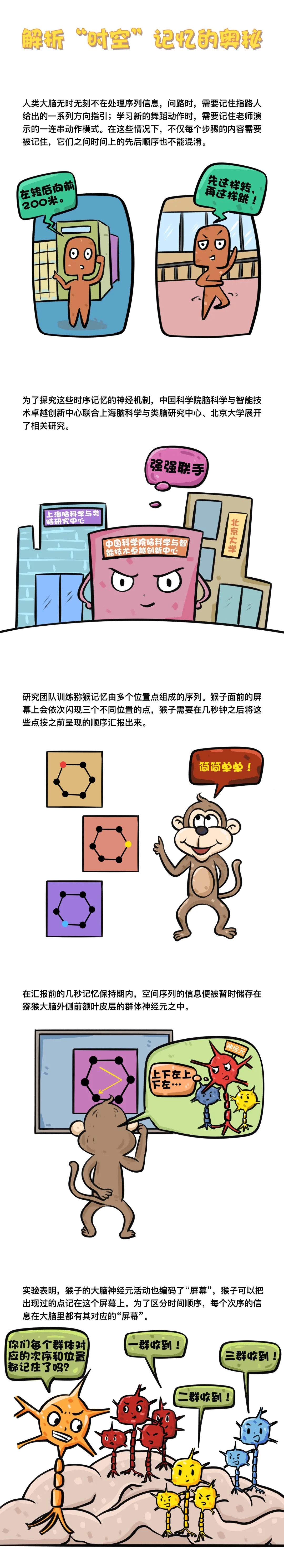 大脑如何记忆时序信息？最新发布的这篇研究论文解析