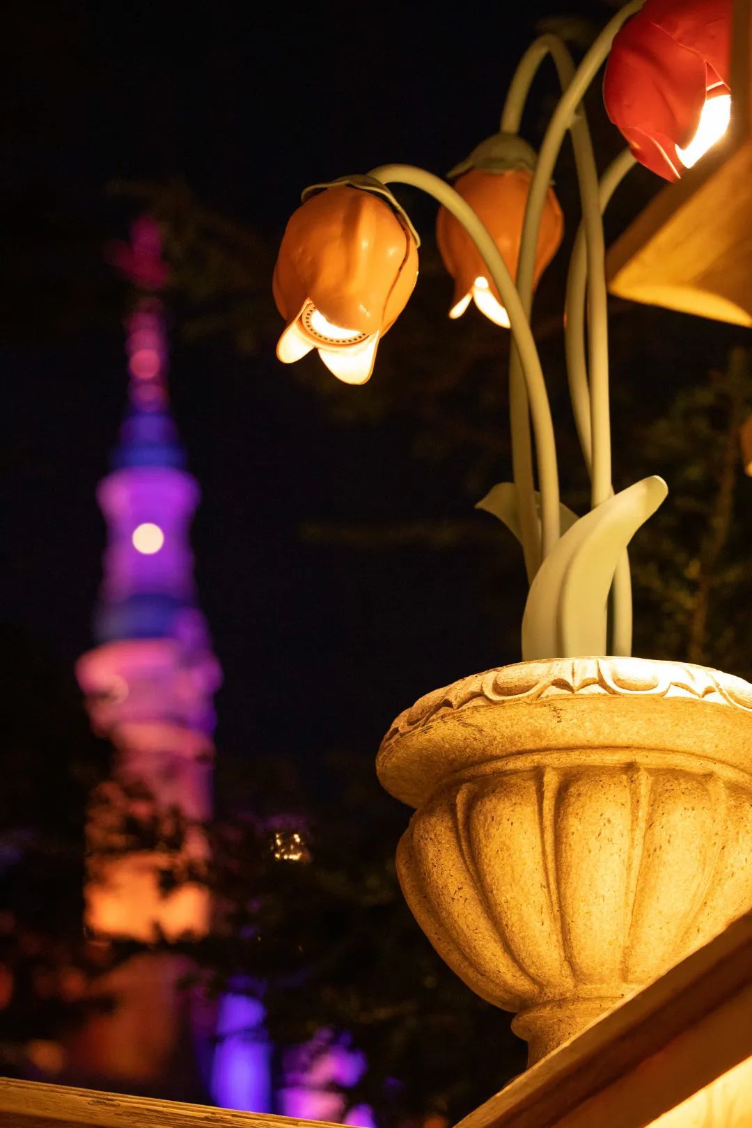 灯火曈曈映团圆走去迪士尼赏灯