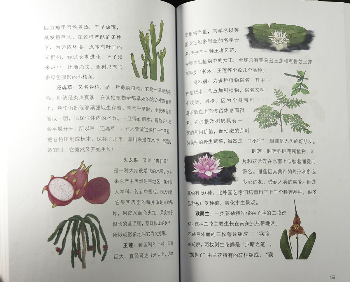 好運嗎——植物的奧秘》不僅內容豐富,涵蓋面廣,且特色鮮明,圖文並茂