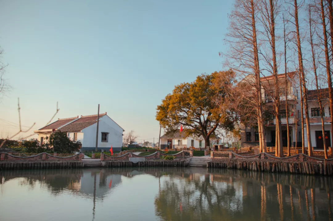 金山这里现代化田园牧歌的生活是你向往的吗