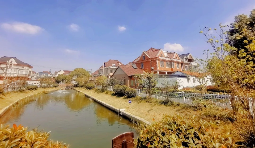 升级改造基础设施宝山这里从小事做起努力提高百姓幸福感