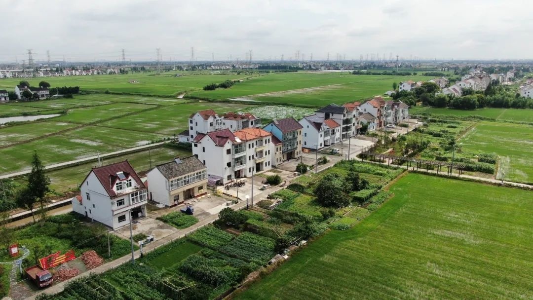 这个距离乐高乐园仅44公里的枫泾镇兴塔村正在发生着变化