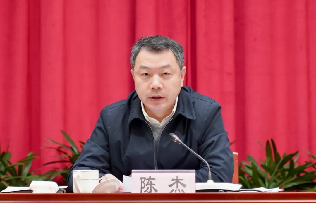 委书记陈杰,区委副书记,区长高奕奕,区委副书记陆奕绎,区委常委胡宝国