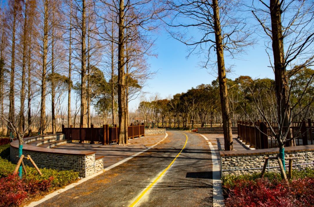 去年,结合乡村振兴和美丽乡村建设,富安村被列为本市开放式休闲林地