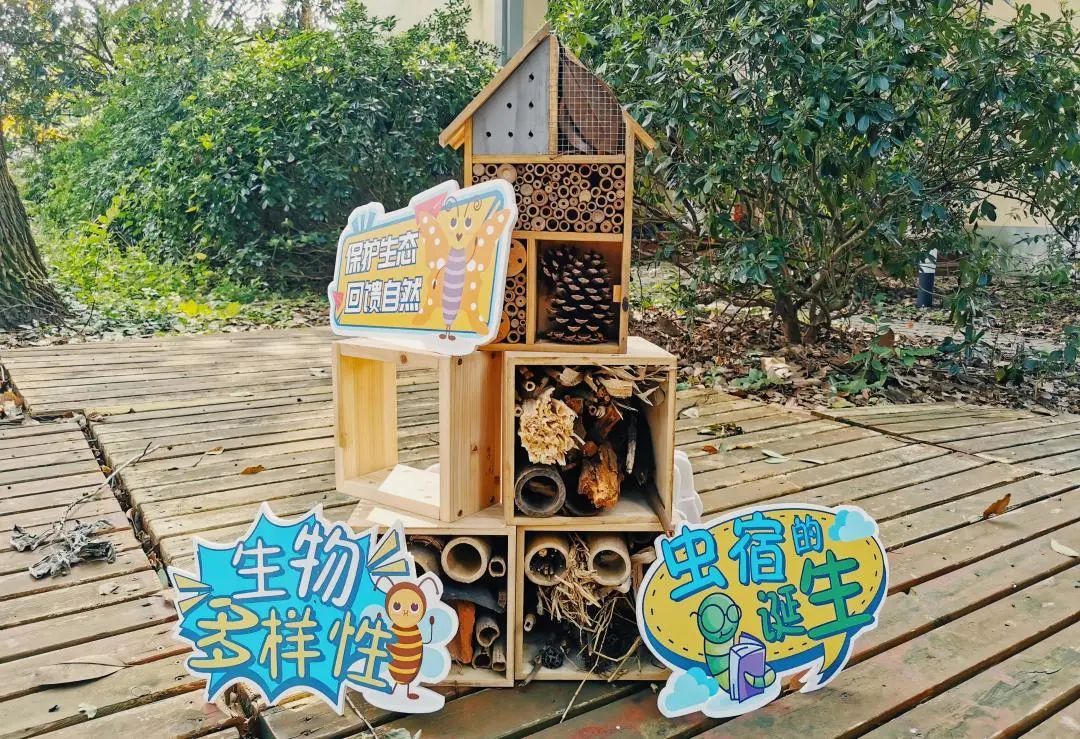 听见樱花雨主题露营昆虫旅馆辰山植物园推出系列主题亲子体验活动