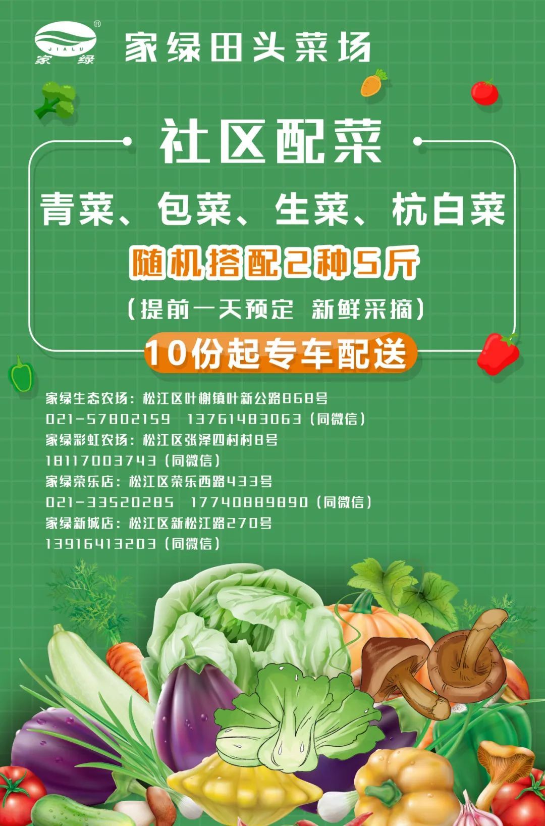 松江地产蔬菜,全市配送!_上观新闻