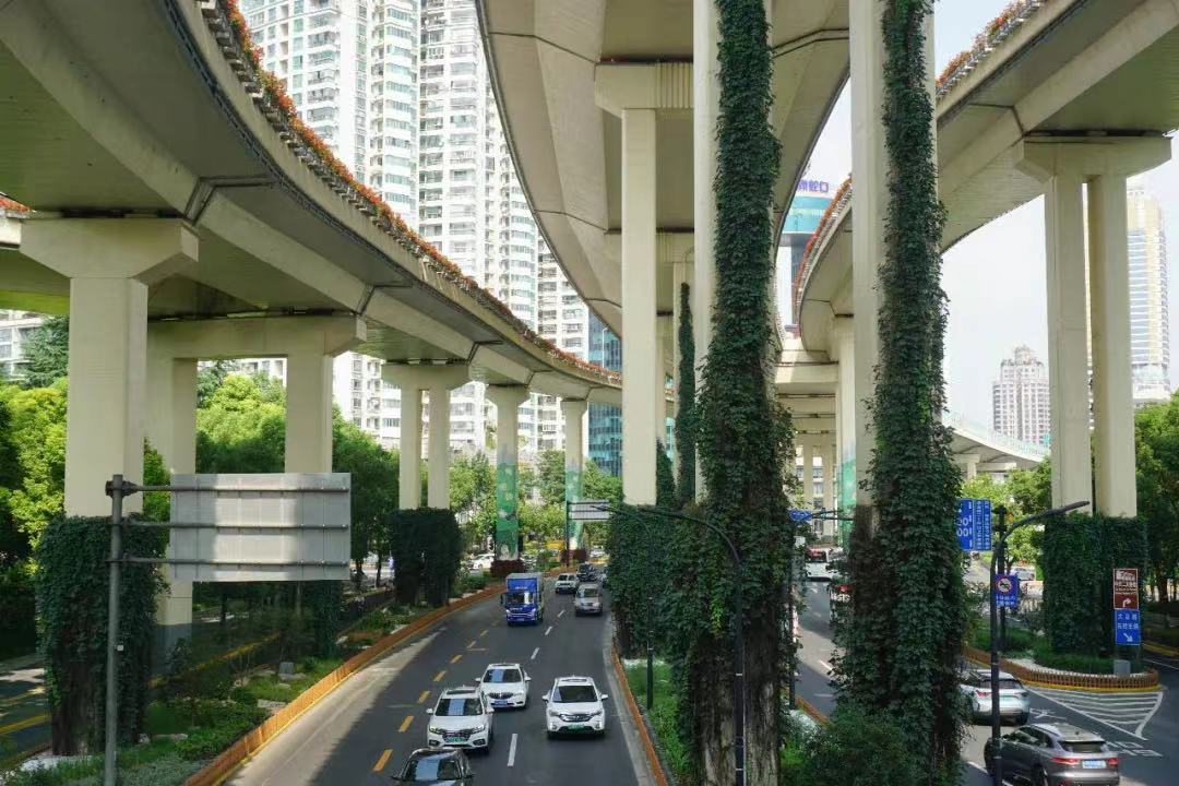 上海延安路高架桥下面图片