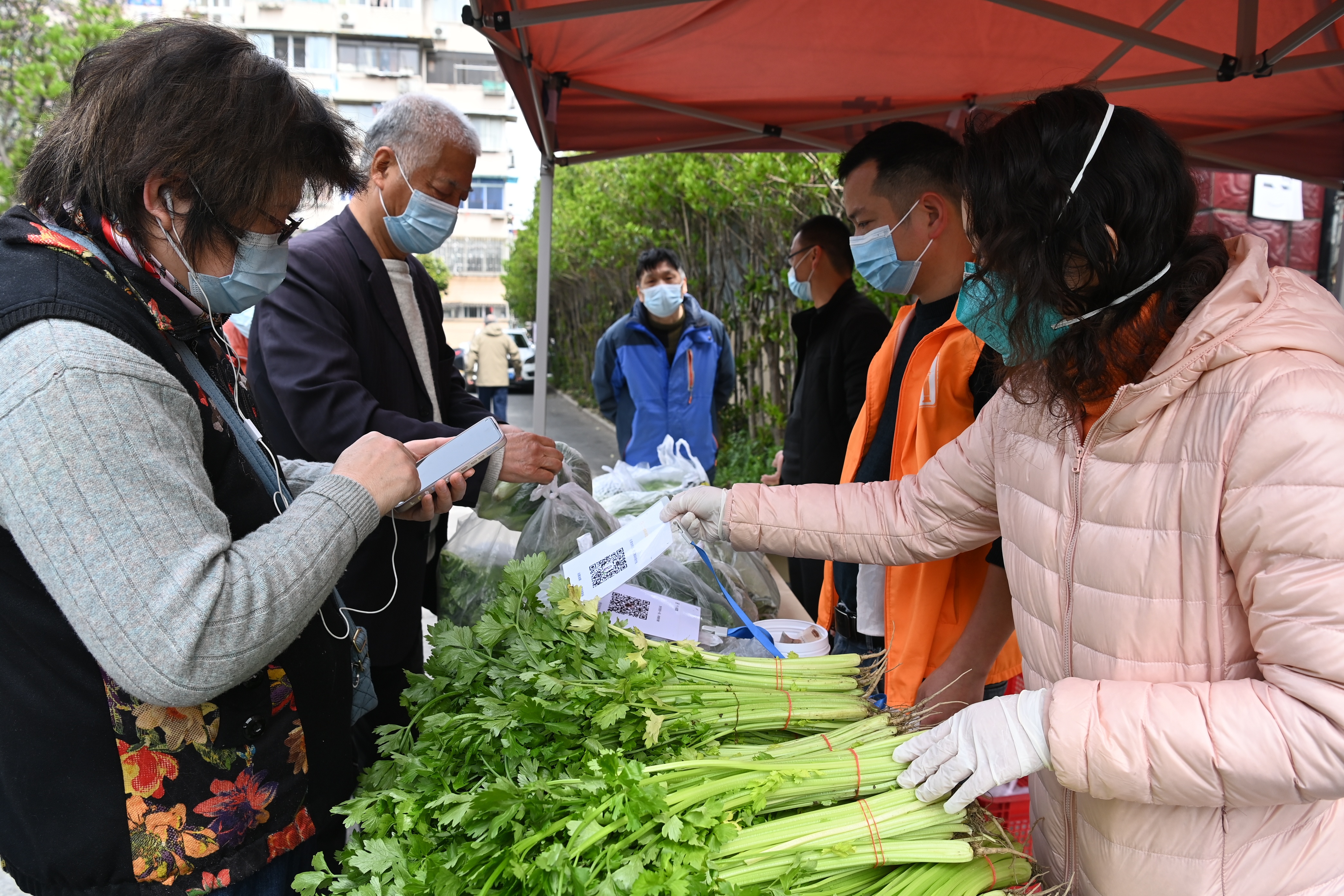 视频平价菜摊摆进小区方便居民买菜