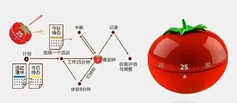 番茄社区需要手机号 番茄社区需要手机号