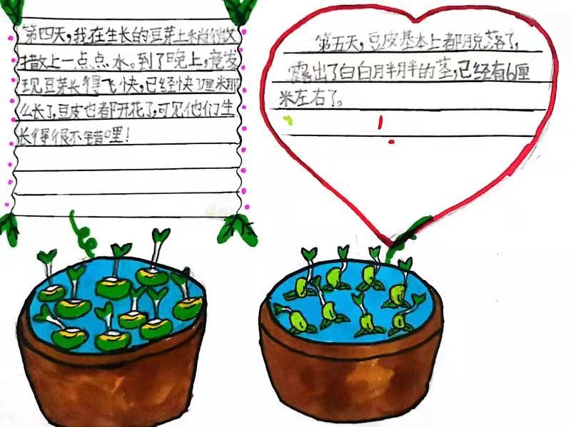 你种的奢侈品在老师眼中都是教育