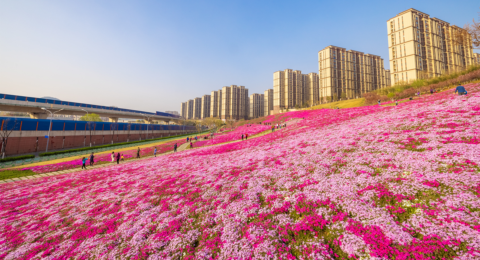 山东好景济南龙鼎大道享受春天里的妙景