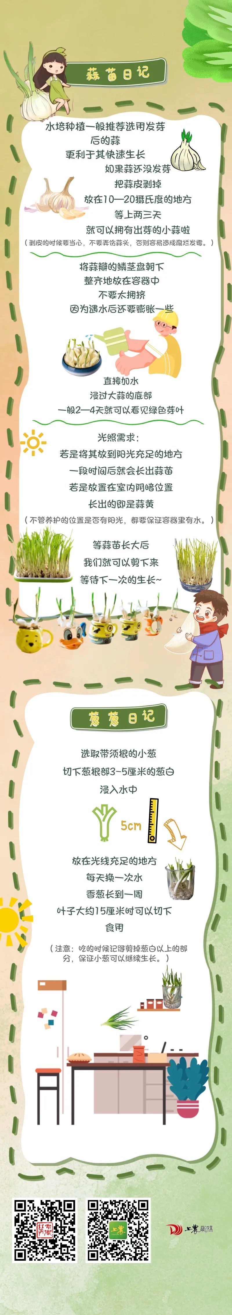 这些蔬菜可以水培快动手试试吧