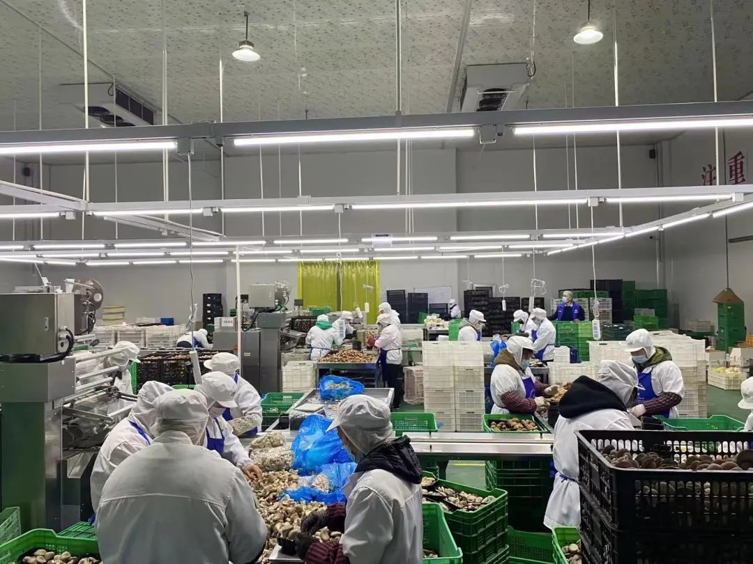 面对疫情期间市民对生活物资需求急剧上升,公司的小包装车间常常加班