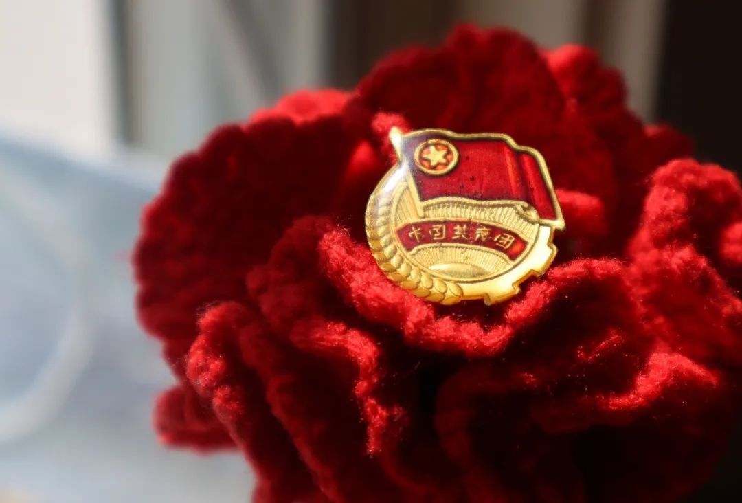 热点聚焦献礼建团百年之定格青春主题行动我和团旗团徽合个影摄影作品