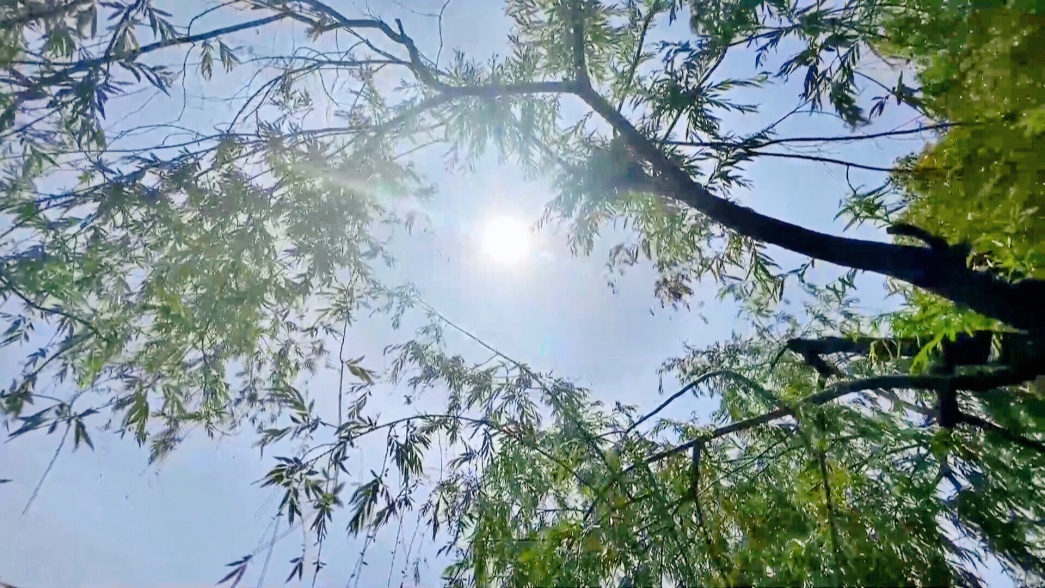 抓住晴好天气的小尾巴抓紧时间洗晒