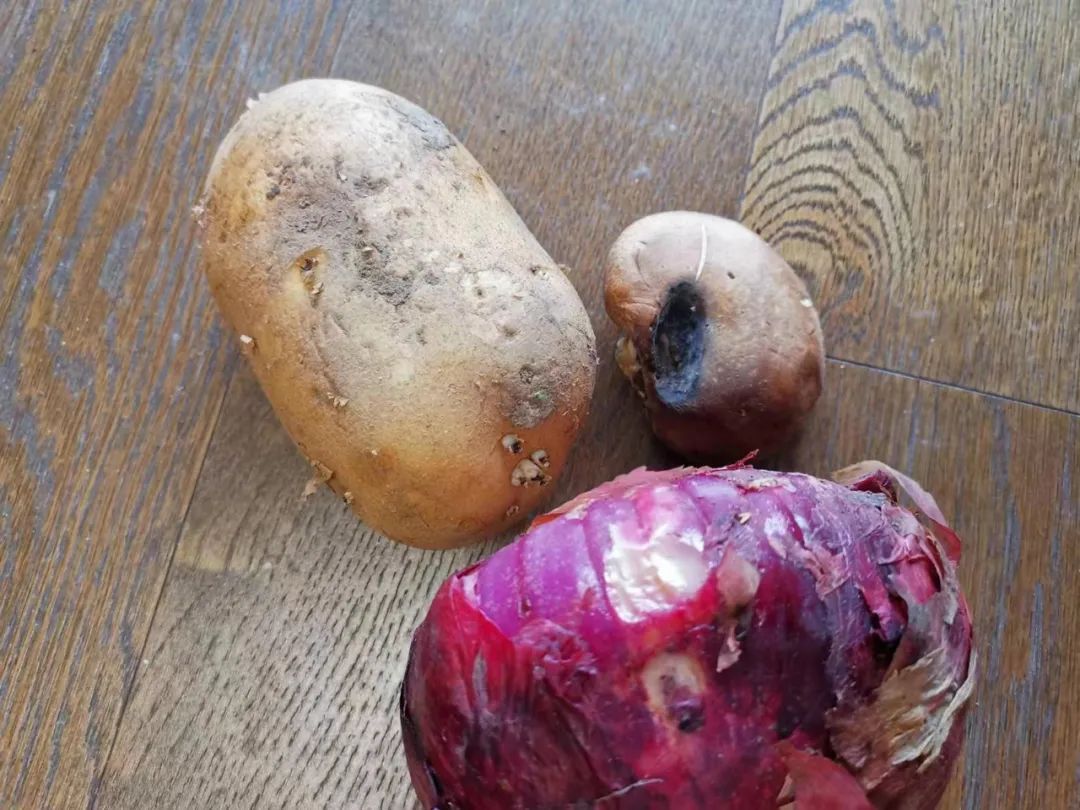 上海某工贸有限公司涉嫌销售变质蔬菜大礼包被罚