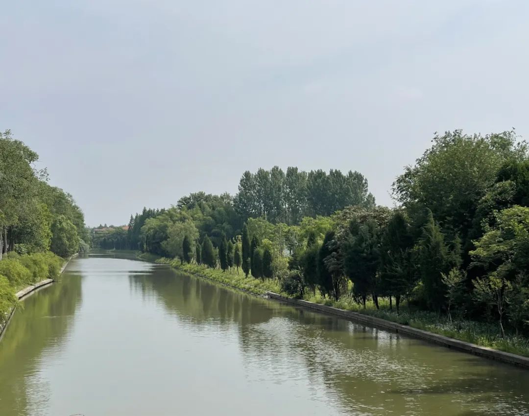 提升家园颜值港西镇开展全域环境整治