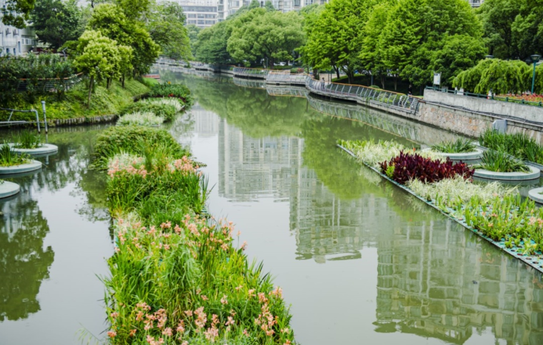 徐汇蒲汇塘碧波荡漾河道养护加速运转