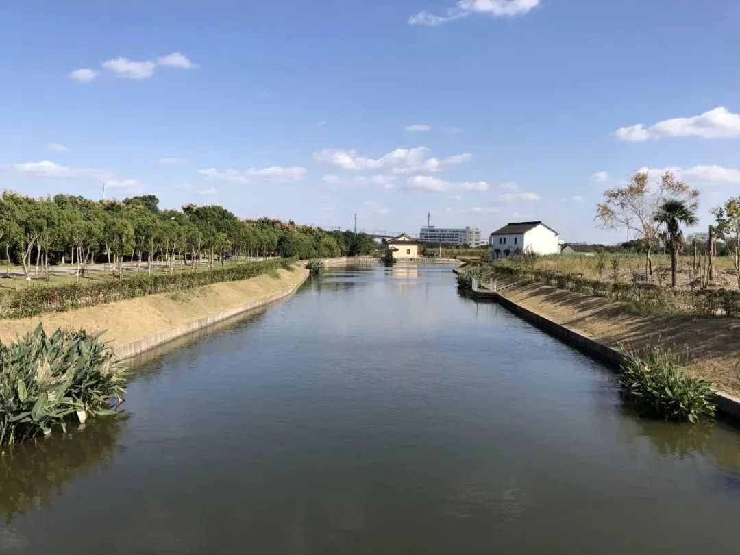 嘉定江桥镇63条村级河道整治进入冲刺阶段